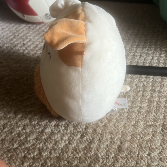 Brock the tan brown bull dog - Picture 2 of 3